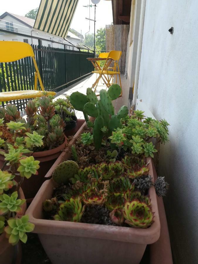 Apartamento Blanche Agerola Exterior foto